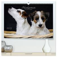 Hundeportraits Eyecatcher-Fotografie (hochwertiger Premium Wandkalender 2025 DIN A2 quer), Kunstdruck in Hochglanz
