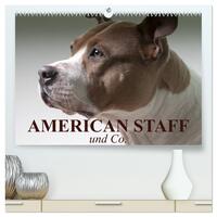 American Staff und Co. (hochwertiger Premium Wandkalender 2026 DIN A2 quer), Kunstdruck in Hochglanz