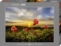 Cloudberries