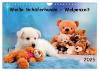 Weiße Schäferhunde - Welpenzeit (Wandkalender 2025 DIN A4 quer), CALVENDO Monatskalender