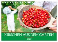 Kirschen aus dem Garten – Erntekalender (Wandkalender 2026 DIN A4 quer), CALVENDO Monatskalender