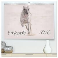 Whippet 2026 (hochwertiger Premium Wandkalender 2026 DIN A2 quer), Kunstdruck in Hochglanz