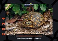 Schildkröten-Jahreskalender 2024
