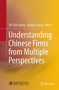 Understanding Chinese Firms from Multiple Perspectives