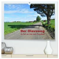 Vorderes Coverbild Der Olavsweg (hochwertiger Premium Wandkalender 2026 DIN A2 quer), Kunstdruck in Hochglanz