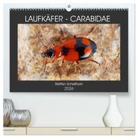 LAUFKÄFER - CARABIDAE (hochwertiger Premium Wandkalender 2026 DIN A2 quer), Kunstdruck in Hochglanz