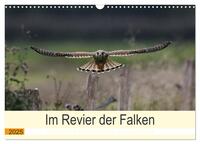 Im Revier der Falken (Wandkalender 2025 DIN A3 quer), CALVENDO Monatskalender
