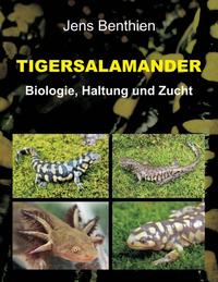 Tigersalamander