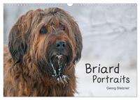 Briard Portraits (Wandkalender 2025 DIN A3 quer), CALVENDO Monatskalender