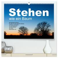 Stehen wie ein Baum (hochwertiger Premium Wandkalender 2026 DIN A2 quer), Kunstdruck in Hochglanz