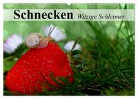 Schnecken. Witzige Schleimer (Wandkalender 2025 DIN A2 quer), CALVENDO Monatskalender