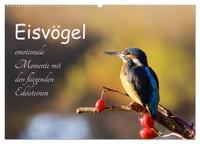 Vorderes Coverbild Eisvögel - emotionale Momente mit den fliegenden Edelsteinen (Wandkalender 2025 DIN A2 quer), CALVENDO Monatskalender