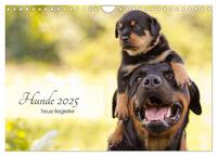 Hunde 2025 - Treue Begleiter (Wandkalender 2025 DIN A4 quer), CALVENDO Monatskalender
