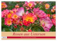 Rosen aus Uetersen (Wandkalender 2025 DIN A3 quer), CALVENDO Monatskalender