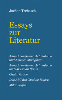 Vorderes Coverbild Essays zur Literatur