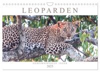 Leoparden - Geheimnisvolle Jäger (Wandkalender 2025 DIN A4 quer), CALVENDO Monatskalender