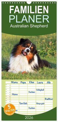 Familienplaner 2026 - Australian Shepherd - Hütehunde mit Familienanschluss mit 5 Spalten (Wandkalender, 21 x 45 cm) CALVENDO