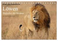 Magie des Augenblicks - Löwen - Herrscher der Savanne (Tischkalender 2026 DIN A5 quer), CALVENDO Monatskalender