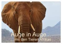 Auge in Auge mit den Tieren Afrikas (Wandkalender 2026 DIN A2 quer), CALVENDO Monatskalender