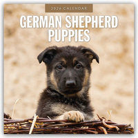 German Shepherd Puppies – Deutsche Schäferhunde Welpen 2026 – 16-Monatskalender