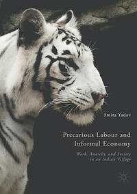 Vorderes Coverbild Precarious Labour and Informal Economy