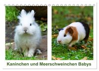 Vorderes Coverbild Kaninchen und Meerschweinchen Babys (Tischkalender 2025 DIN A5 quer), CALVENDO Monatskalender