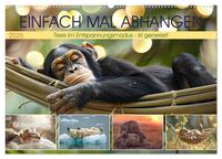 Vorderes Coverbild Einfach mal abhängen (Wandkalender 2025 DIN A2 quer), CALVENDO Monatskalender