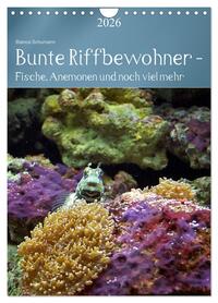 Bunte Riffbewohner - Fische, Anemonen und noch viel mehr (Wandkalender 2026 DIN A4 hoch), CALVENDO Monatskalender
