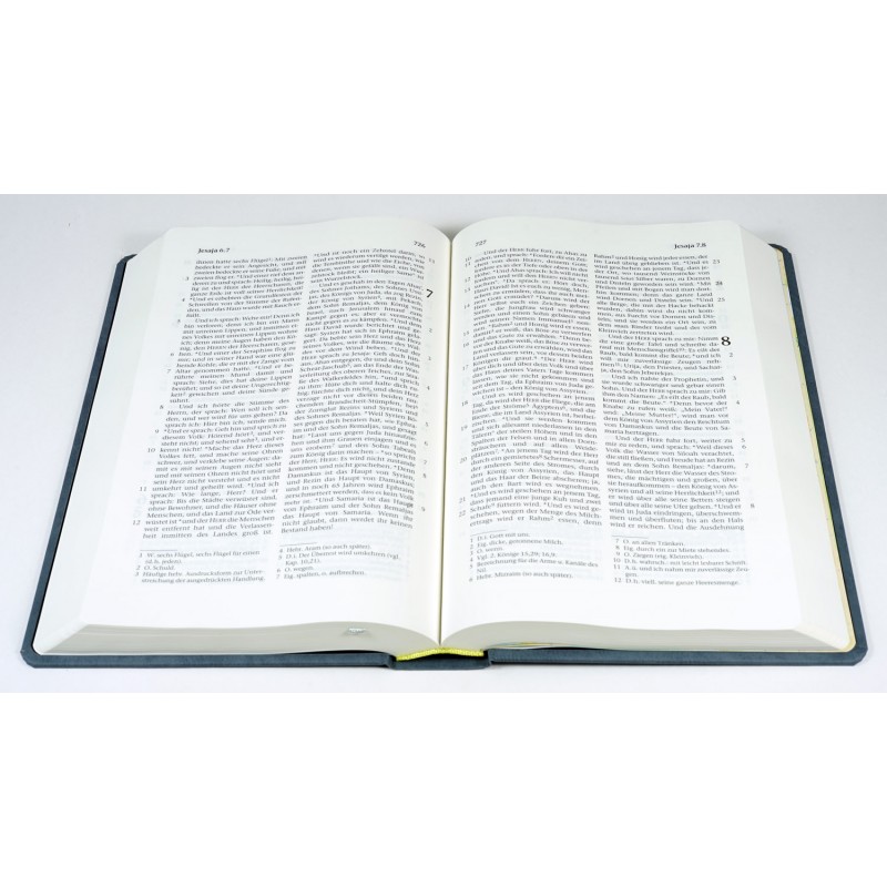 Die Bibel - Großausgabe (Baladeck)
