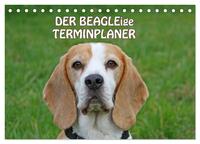 DER BEAGLEige TERMINPLANER (Tischkalender 2025 DIN A5 quer), CALVENDO Monatskalender