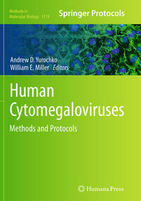 Vorderes Coverbild Human Cytomegaloviruses