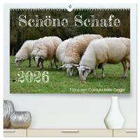 Schöne Schafe (hochwertiger Premium Wandkalender 2026 DIN A2 quer), Kunstdruck in Hochglanz