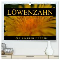 Löwenzahn - Die kleinen Sonnen (hochwertiger Premium Wandkalender 2025 DIN A2 quer), Kunstdruck in Hochglanz