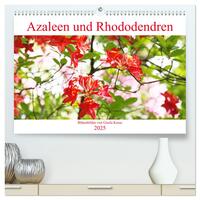 Azaleen und Rhododendren Blütenbilder (hochwertiger Premium Wandkalender 2025 DIN A2 quer), Kunstdruck in Hochglanz