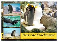 Tierische Frackträger (Wandkalender 2026 DIN A2 quer), CALVENDO Monatskalender