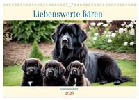 Neufundländer - Liebenswerte Bären (Wandkalender 2025 DIN A3 quer), CALVENDO Monatskalender