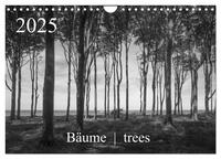 Vorderes Coverbild Bäume trees 2025 (Wandkalender 2025 DIN A4 quer), CALVENDO Monatskalender