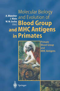 Molecular Biology and Evolution of Blood Group and MHC Antigens in Primates