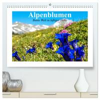 Alpenblumen. Bunte Welt in luftiger Höhe (hochwertiger Premium Wandkalender 2025 DIN A2 quer), Kunstdruck in Hochglanz
