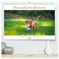Pfotenblitzers Retriever Mit DIR hol ich die Sterne vom Himmel (hochwertiger Premium Wandkalender 2026 DIN A2 quer), Kunstdruck in Hochglanz