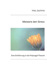 Vorderes Coverbild Meistere den Stress