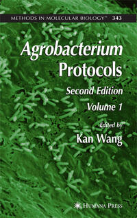 Vorderes Coverbild Agrobacterium Protocols