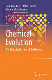 Chemical Evolution
