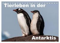 Tierleben in der Antarktis (Tischkalender 2026 DIN A5 quer), CALVENDO Monatskalender