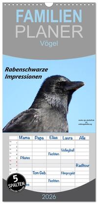 Familienplaner 2026 - Rabenschwarze Impressionen - meike-ajo-dettlaff.de via wildvogelhlfe.org mit 5 Spalten (Wandkalender, 21 x 45 cm) CALVENDO