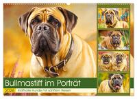 Bullmastiff im Porträt. Kraftvolle Hunde mit sanftem Wesen (Wandkalender 2026 DIN A2 quer), CALVENDO Monatskalender