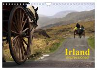 Irland • Impressionen (Wandkalender 2025 DIN A4 quer), CALVENDO Monatskalender