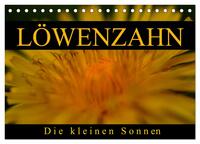 Löwenzahn - Die kleinen Sonnen (Tischkalender 2025 DIN A5 quer), CALVENDO Monatskalender