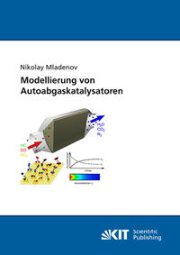 Modellierung von Autoabgaskatalysatoren
