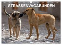 STRASSENVAGABUNDEN (Wandkalender 2025 DIN A3 quer), CALVENDO Monatskalender